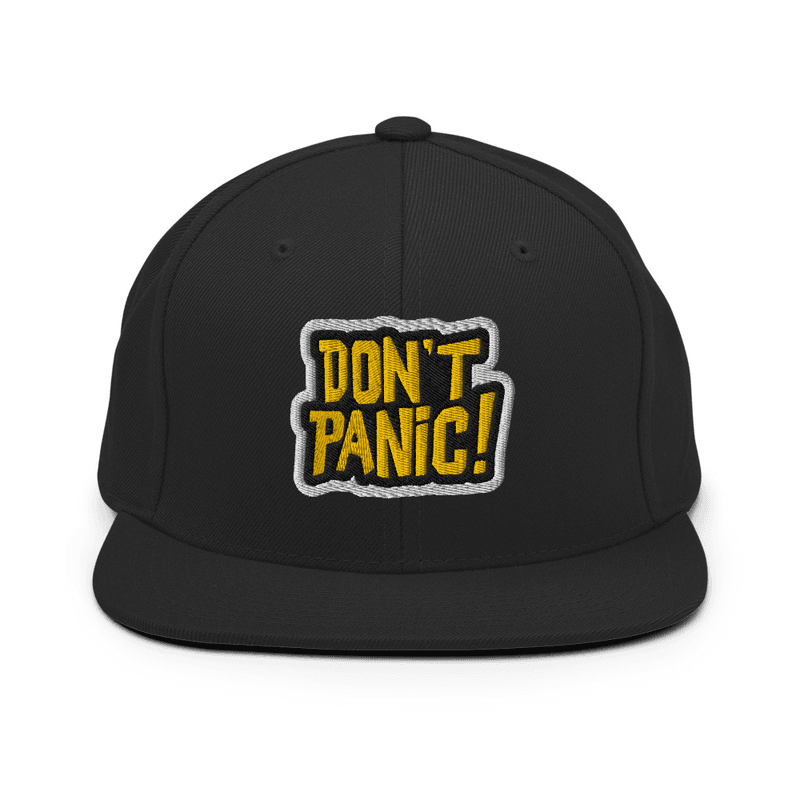 Snapback Hat dont panic